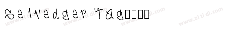 Selvedger Tag字体转换